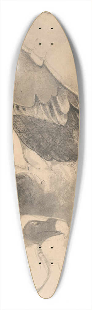 Bernard Willem Wierink - Studie van gieren 39.3 inch art pintail longboard deck