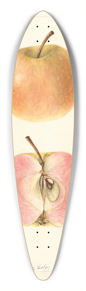 Bertha Heiges - Malus domestica: Surprise 39.3 inch art pintail longboard deck