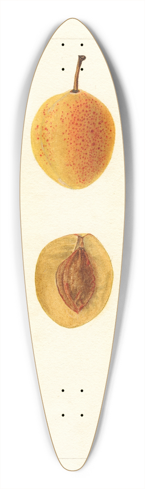 Bertha Heiges - Prunus domestica: Silver Prune 39.3 inch art pintail longboard deck