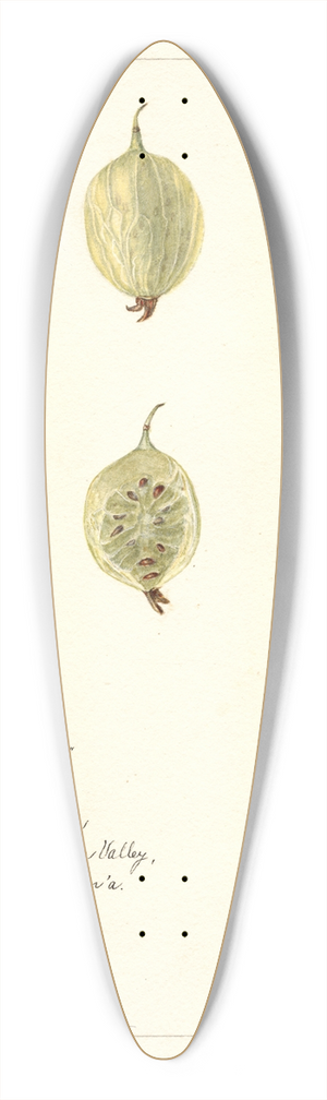 Bertha Heiges - Ribes: White Smith 39.3 inch art pintail longboard deck