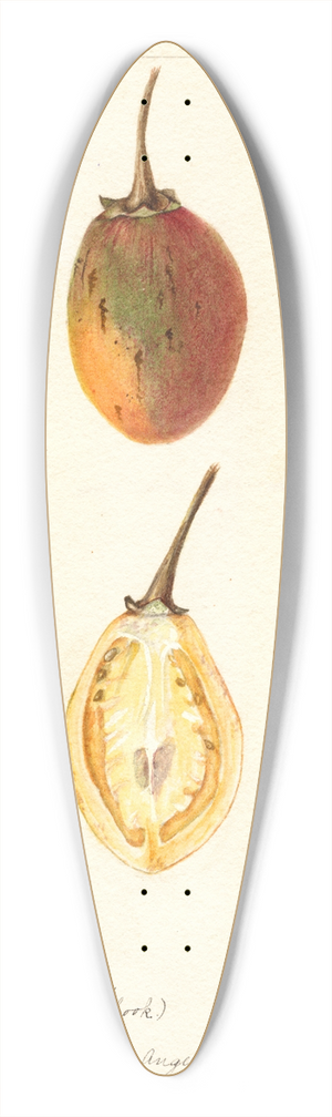 Bertha Heiges - Solanum betaceum 39.3 inch art pintail longboard deck
