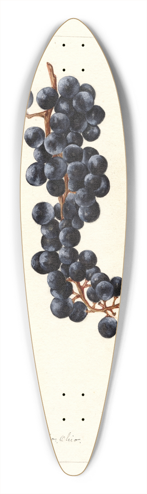 Bertha Heiges - Vitis: No 39.3 inch art pintail longboard deck