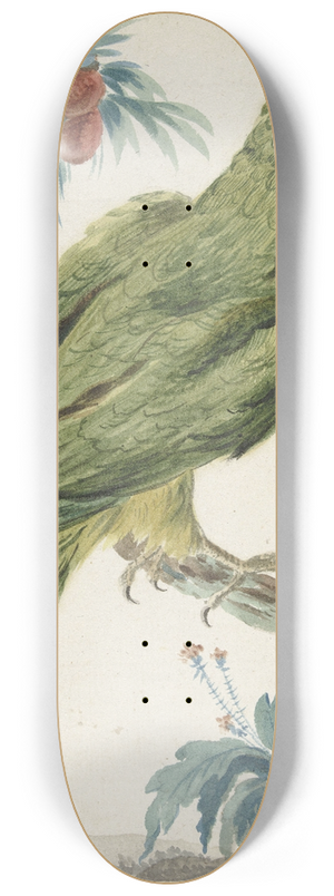 Jan Weenix - Geelvoorhoofd parkiet (Bolborhyuchus aurifrons) 8.25 inch art skate deck