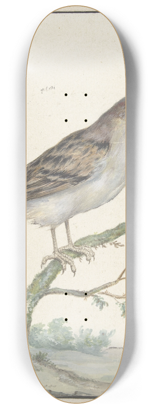 Jan Weenix - Huismus 8.25 inch art skate deck