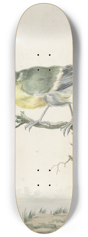 Jan Weenix - Koolmees 8.25 inch art skate deck