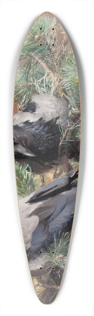 Bruno Liljefors - Crows 39.3 inch art pintail longboard deck
