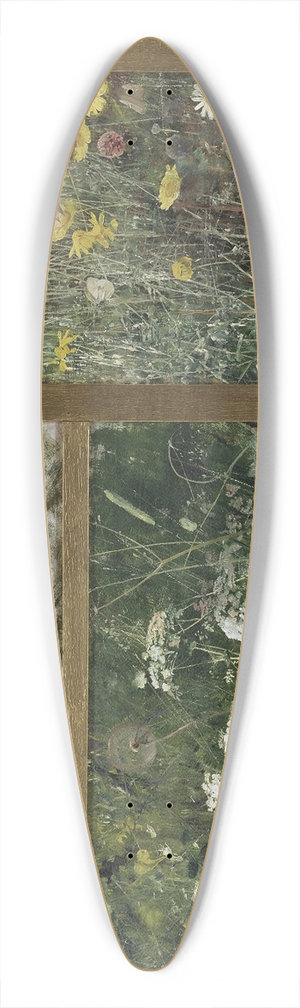 Bruno Liljefors - Four Bird Studies, Red-Backed Shrike, Corncrake, Chaffinches, Willow Warbler 39.3 inch art pintail longboard deck