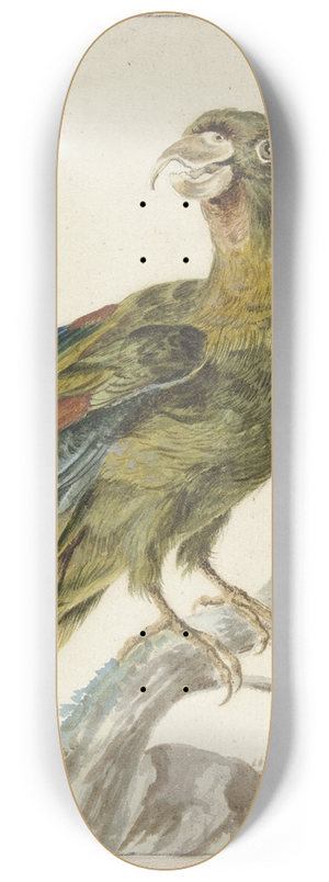 Jan Weenix - Parakeet 8.25 inch art skate deck