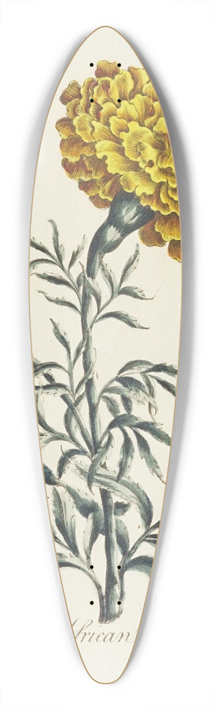 Carington Bowles - African 39.3 inch art pintail longboard deck
