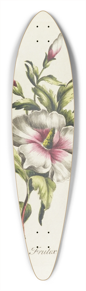 Carington Bowles - Althaea frutex 39.3 inch art pintail longboard deck