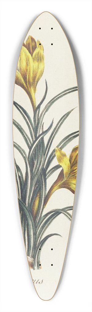 Carington Bowles - Crocus 39.3 inch art pintail longboard deck