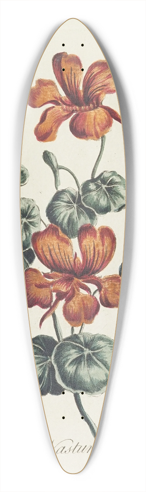 Carington Bowles - Nasturtium 39.3 inch art pintail longboard deck