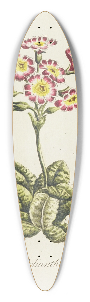 Carington Bowles - Polianthos 39.3 inch art pintail longboard deck