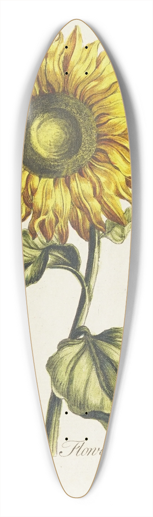 Carington Bowles - Sun flower 39.3 inch art pintail longboard deck