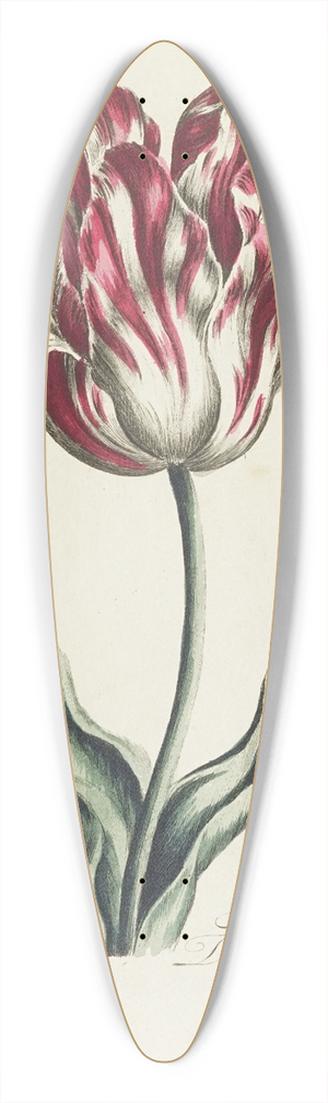 Carington Bowles - Tulip 39.3 inch art pintail longboard deck