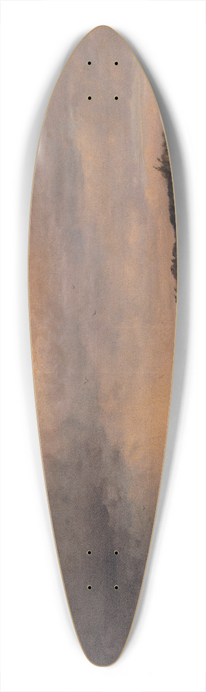 Carleton Wiggins - Sand Dunes; Coney Island 39.3 inch art pintail longboard deck