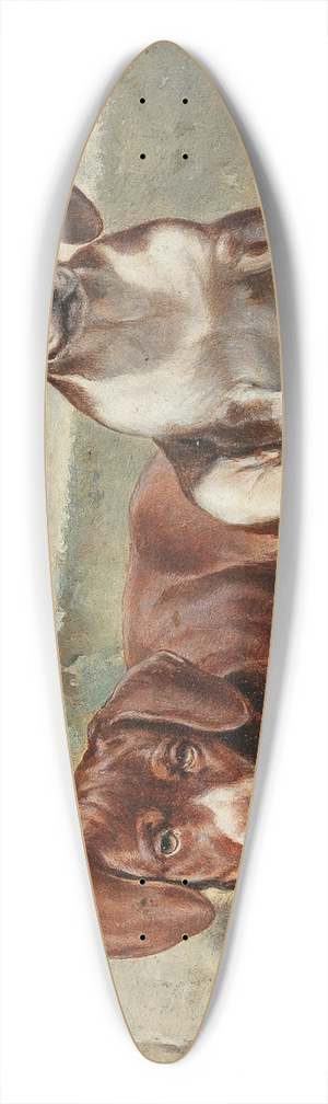 Carl Reichert - Gestrte Siesta 39.3 inch art pintail longboard deck