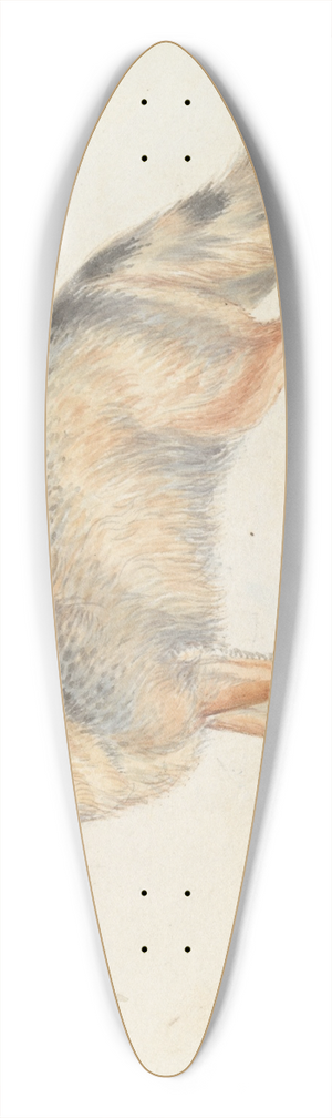 Charles Hamilton Smith - Crab-eating Fox 39.3 inch art pintail longboard deck
