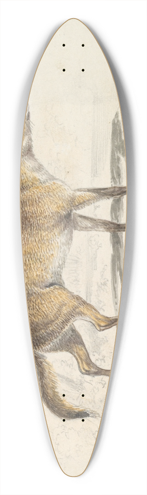 Charles Hamilton Smith - Crabodago Aguara Fox 39.3 inch art pintail longboard deck