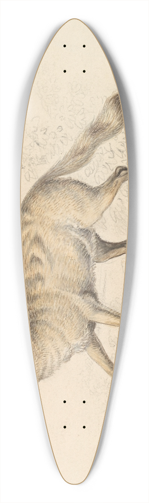 Charles Hamilton Smith - Guaraxa Aguara-Fox 39.3 inch art pintail longboard deck