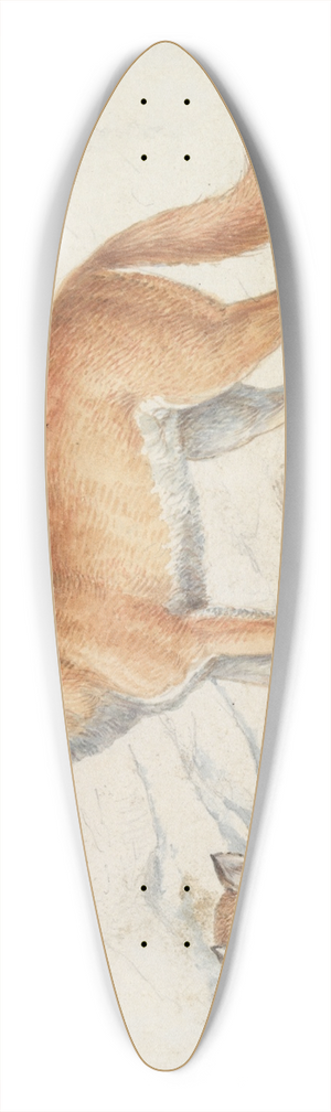 Charles Hamilton Smith - The Syrian Fox and The Egyptian Fox 39.3 inch art pintail longboard deck