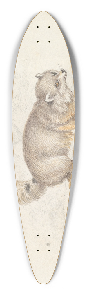 Charles Hamilton Smith - Turkish Dog-Fox 39.3 inch art pintail longboard deck