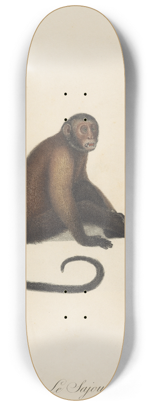 Jean-Baptiste Audebert - Le Sajou 8.25 inch art skate deck