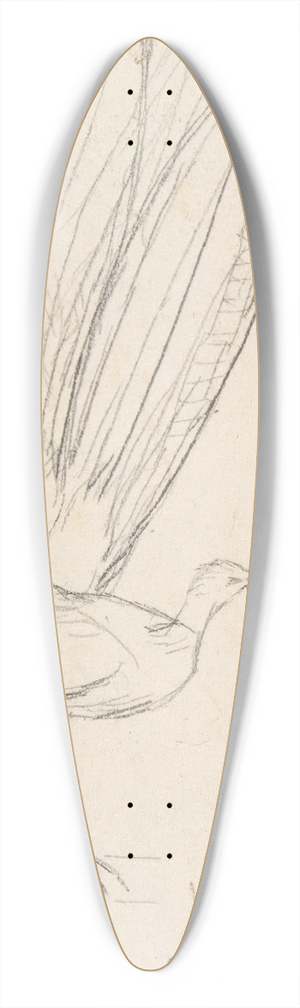 Charles Meryon - A Lyre Bird 39.3 inch art pintail longboard deck