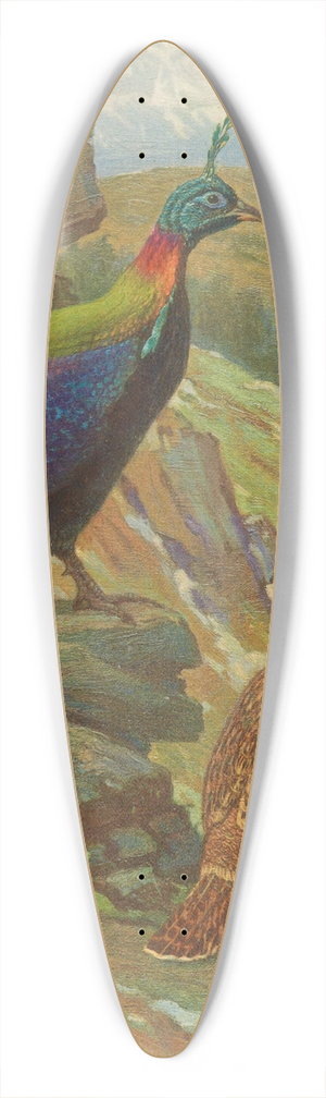 Charles Robert Knight - Himalayan Impeyan Pheasant 39.3 inch art pintail longboard deck