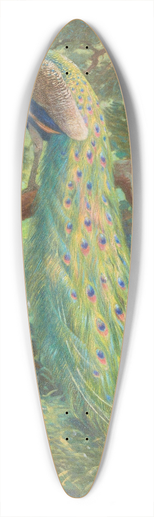 Charles Robert Knight - Indian Peafowl 39.3 inch art pintail longboard deck