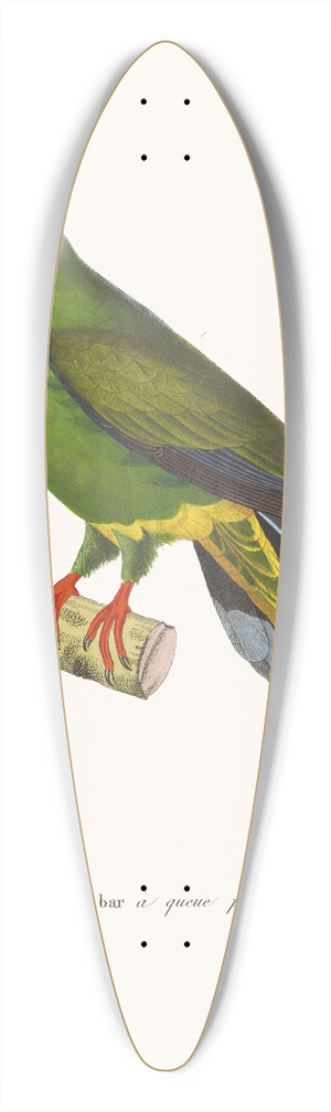 Coenraad Jacob Temminck - Colombar A Queue Pointue 39.3 inch art pintail longboard deck
