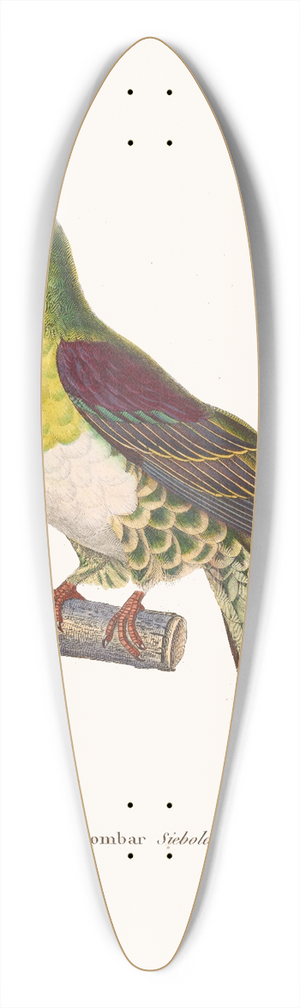 Coenraad Jacob Temminck - Colombar Siebold. 39.3 inch art pintail longboard deck