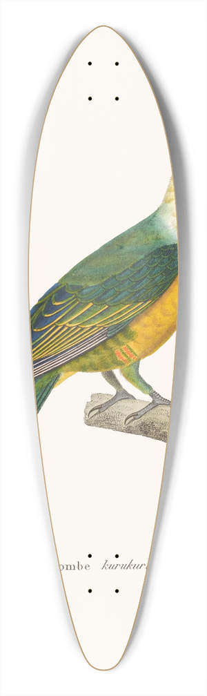 Coenraad Jacob Temminck - Colombe Kurukuru 39.3 inch art pintail longboard deck