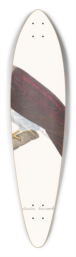 Coenraad Jacob Temminck - Colombe Leucomele. 39.3 inch art pintail longboard deck