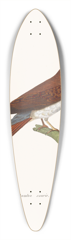 Coenraad Jacob Temminck - Colombe Souris. 39.3 inch art pintail longboard deck
