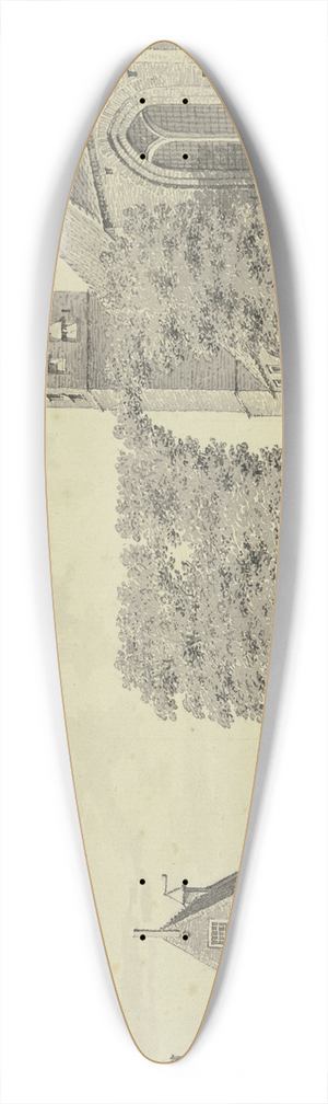 Cornelis Pronk - View from Mappelt 39.3 inch art pintail longboard deck