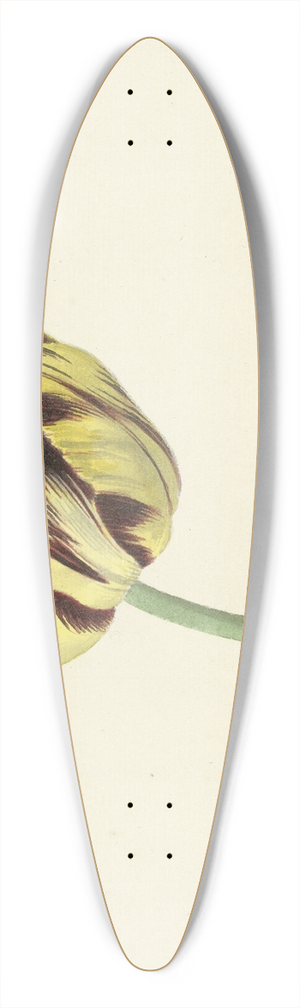 Cornelis van Noorde - Tulp genaamd Bizard Pontifex Romanus 39.3 inch art pintail longboard deck