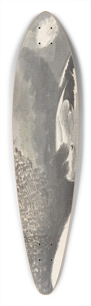 Count Giorgio Durante - Dead Duck 39.3 inch art pintail longboard deck