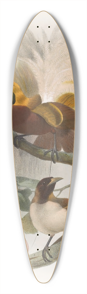 Daniel Giraud Elliot - Paradisea minor 39.3 inch art pintail longboard deck