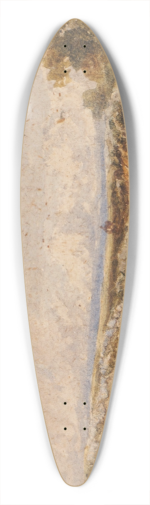 David Cox - Heath Scene 39.3 inch art pintail longboard deck