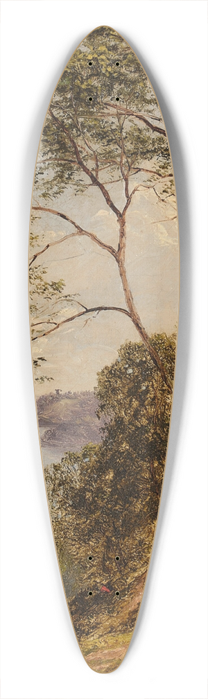David Johnson - From Union Hill, Hoboken 39.3 inch art pintail longboard deck