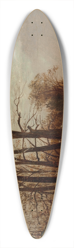 David Johnson - Near McCombs Dam, Harlem, New York 39.3 inch art pintail longboard deck