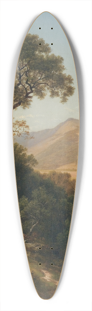 David Johnson - Near Shelburne, Vermont 39.3 inch art pintail longboard deck