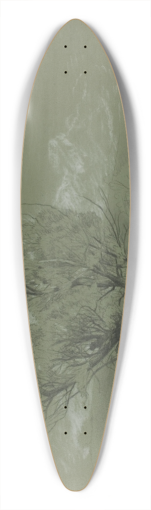 David Johnson - Willow 39.3 inch art pintail longboard deck