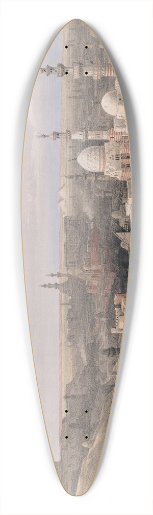 David Roberts - Cairo; looking west. 39.3 inch art pintail longboard deck