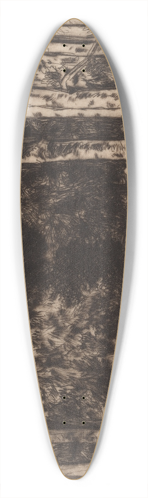 David Young Cameron - The Avenue 39.3 inch art pintail longboard deck