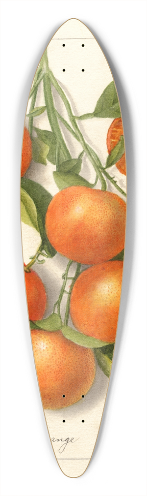 Deborah Griscom Passmore - Citrus: Calamondian 39.3 inch art pintail longboard deck