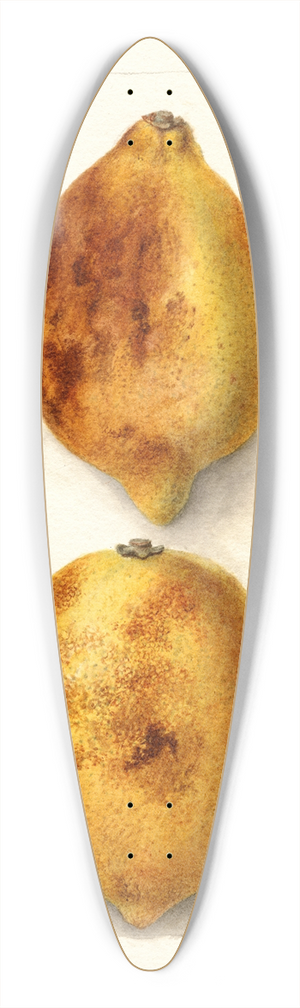 Deborah Griscom Passmore - Citrus limon 39.3 inch art pintail longboard deck