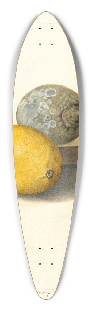 Deborah Griscom Passmore - Citrus limon 39.3 inch art pintail longboard deck