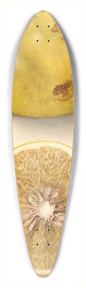 Deborah Griscom Passmore - Citrus paradisi: Ellen 39.3 inch art pintail longboard deck